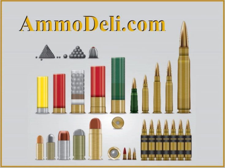 AmmoDeli.com